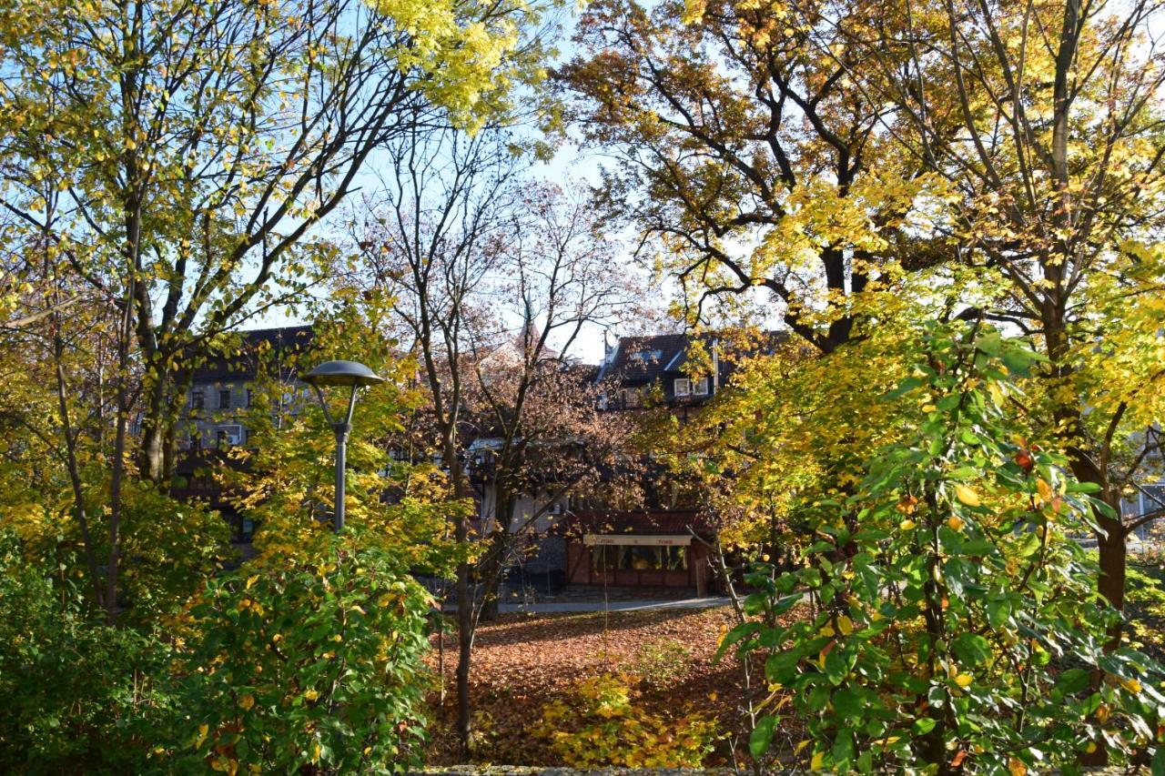 Green Apartament Centrum Apartment *